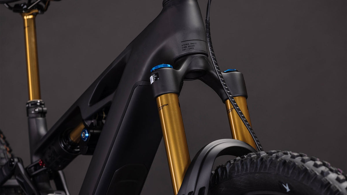 Cube Stereo Hybrid ONE77 HPC AT 800 carbon'n'gold