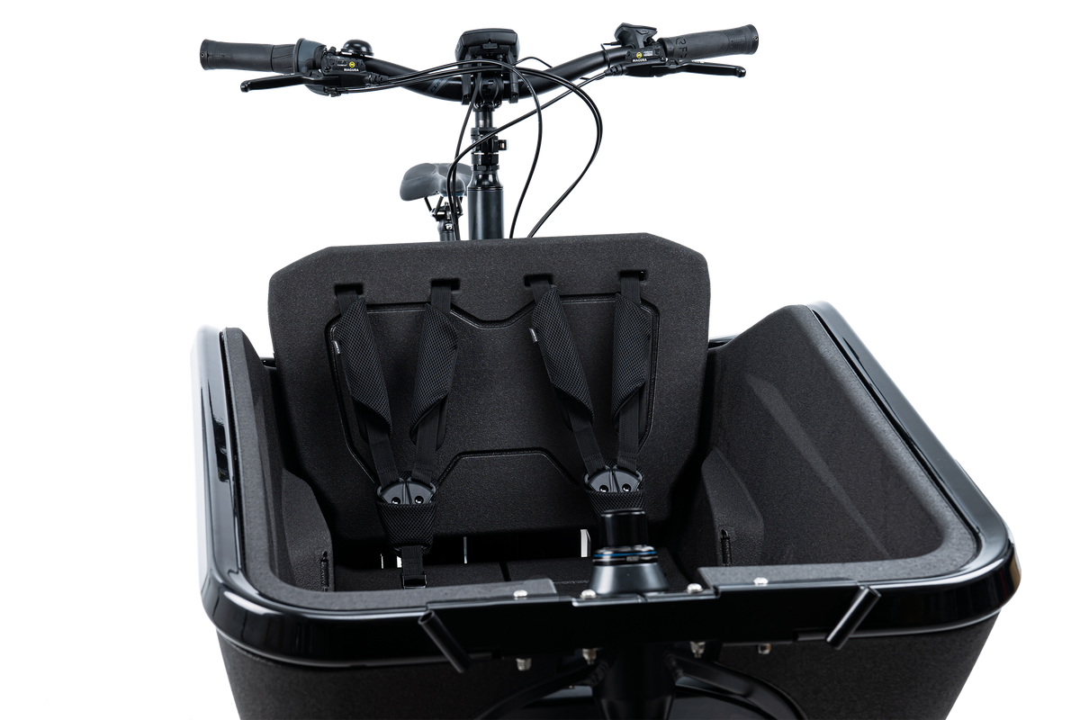 CUBE Sicherheitsgurt CARGO