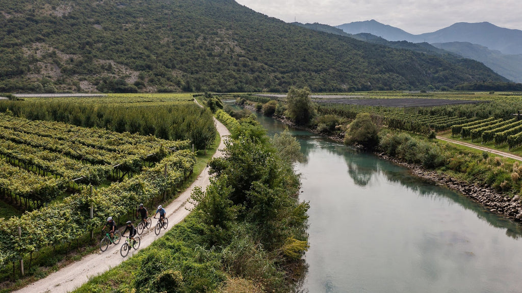 Cube Aim Pro lizard'n'black
