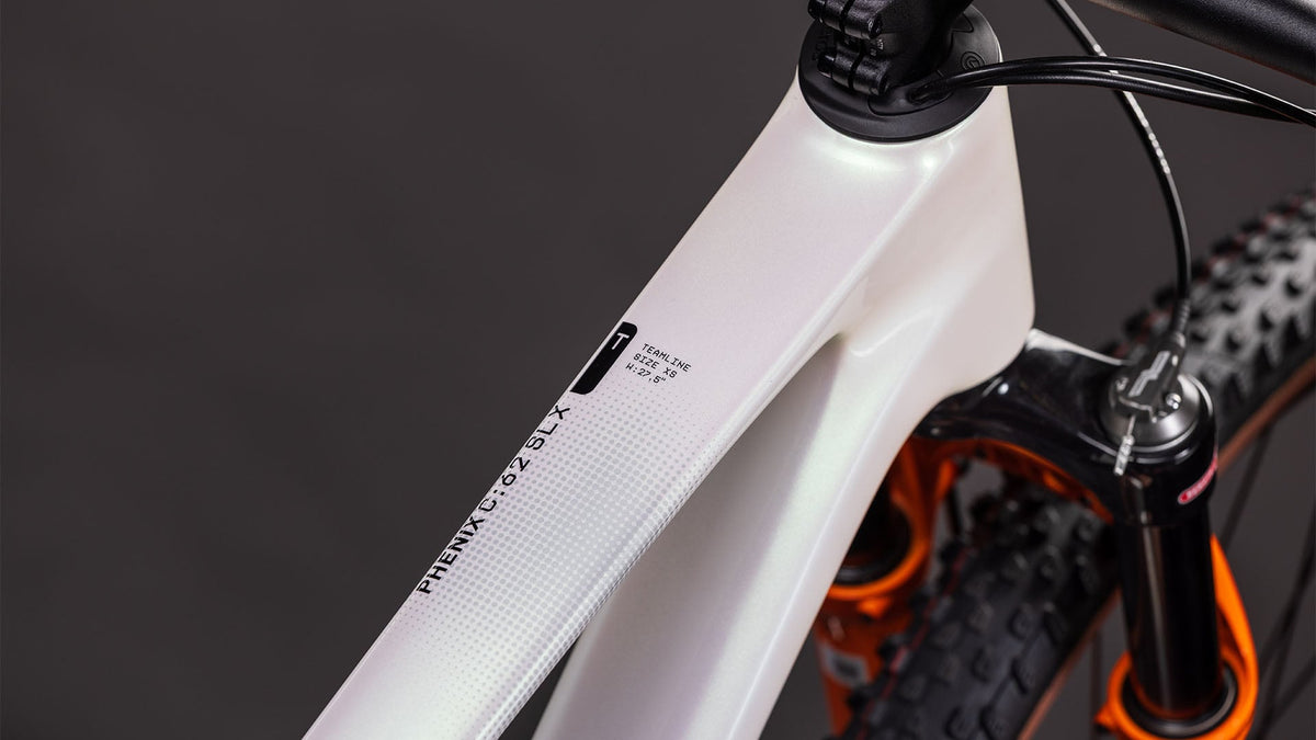Cube Phenix C:62 Rookie SLX teamline