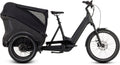 Cube Trike Cargo Hybrid 750 grey'n'reflex